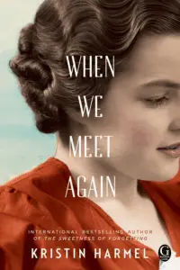 cover of When We Meet Again